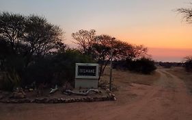 Isilwane Bush Camp Dinokeng Game Reserve